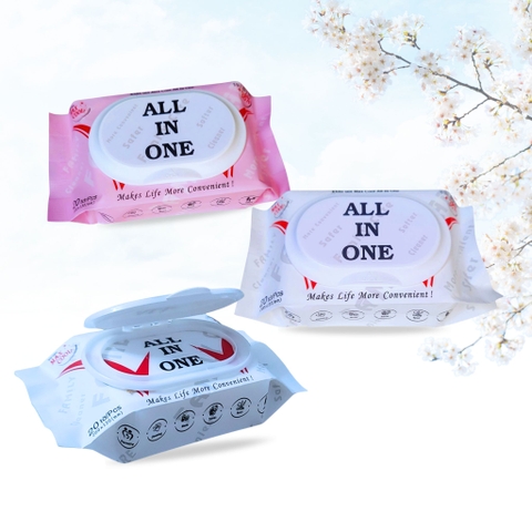 80 gói Khăn ướt  ALL IN ON  (20tờ) - không hương