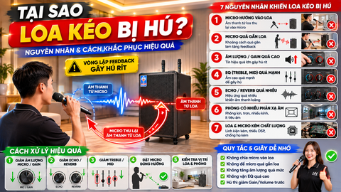 Loa Kéo Bị Hú Rít Vì Sao? Nguyên Nhân Và Cách Khắc Phục Hiệu Quả
