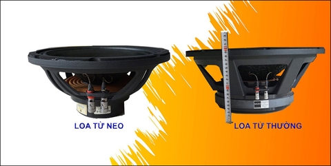 So sánh Bass từ neo và bass từ thường, nên chọn loại nào?
