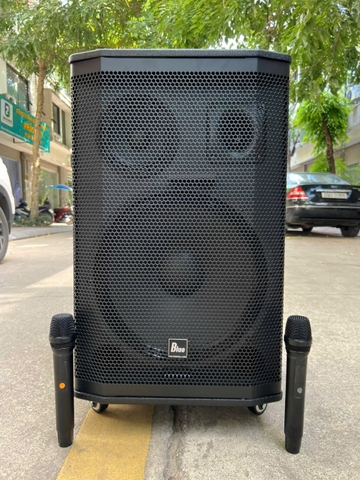 Cách chọn loa kéo hát karaoke Tết 2025