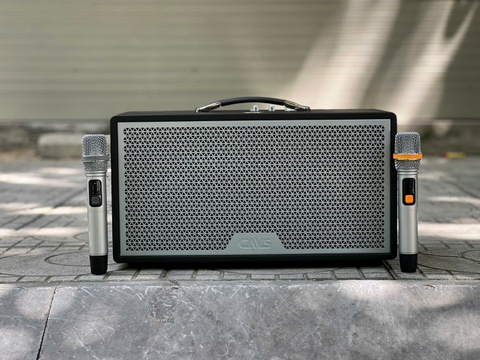 Loa Xách Tay CAVS Luno 28