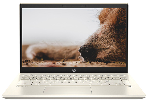 Laptop HP Pavilion 14-dv0534TU 4P5G3PA (Core i7-1165G7 | 8GB | 512GB | Intel Iris Xe | 14 Inch FHD | Win 11 | Warm Gold | Phiên bản mới Win 11)