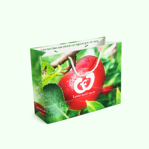 In túi giấy đựng hoa quả