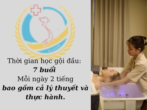 Khóa học gội đầu dưỡng sinh đào tạo tại TP.HCM