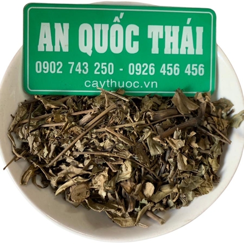 Cây hoàn ngọc có tác dụng gì? Bán cây hoàn ngọc TP HCM.