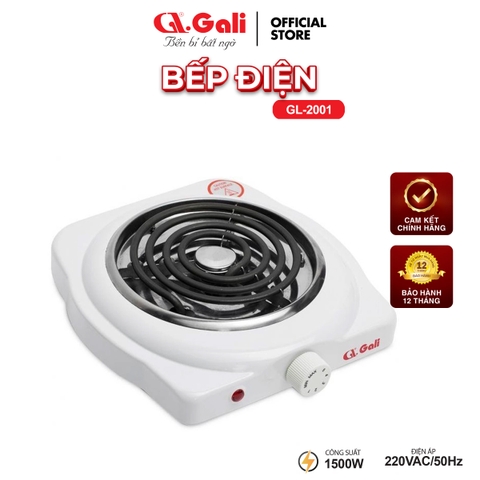 Bếp điện đơn GL-2001