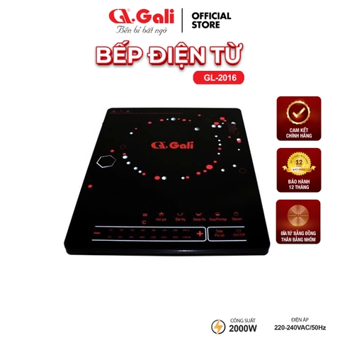 Bếp từ GL-2016