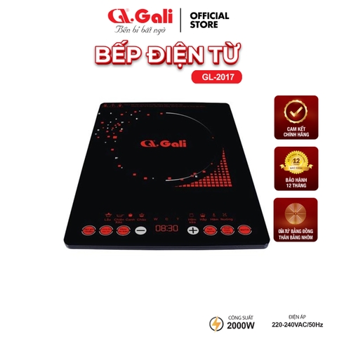 Bếp từ GL-2017