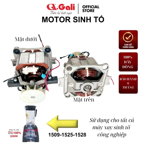 Motor sinh tố công nghiệp 1509 - 1525 - 1528 - Bảo hành 6 tháng