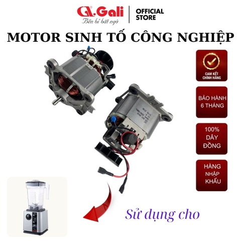 Motor Sinh Tố Công Nghiệp 1520