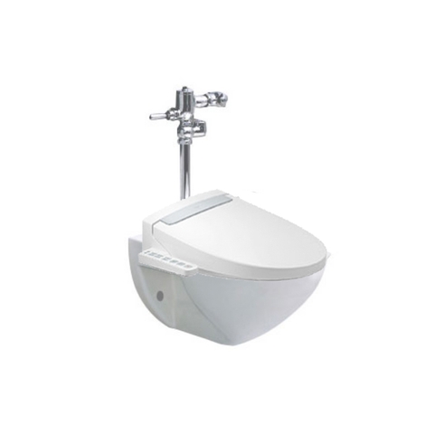 BỒN CẦU KÈM NẮP RỬA ĐIỆN TỬ AC-22P+CW-H20VN