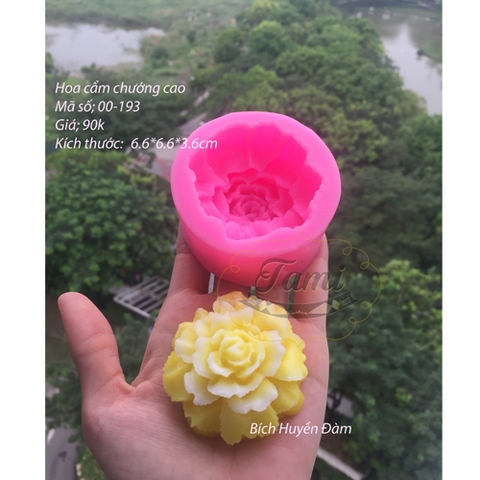Khuôn silicon rau câu hoa nổi- Cẩm chướng cao
