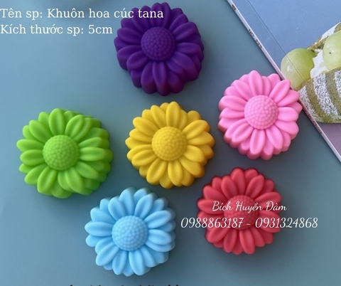 Set 10 khuôn silicon cupcake hoa cúc Tana 5cm, 3cm