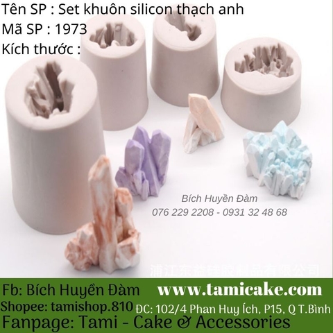 Set khuôn silicon thạch anh 1973