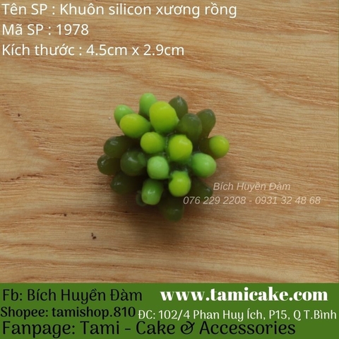 Khuôn silicon xương rồng 1978