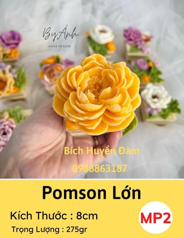 Khuôn silicon hoa pomson nhỏ/lớn làm rau câu hoa nổi