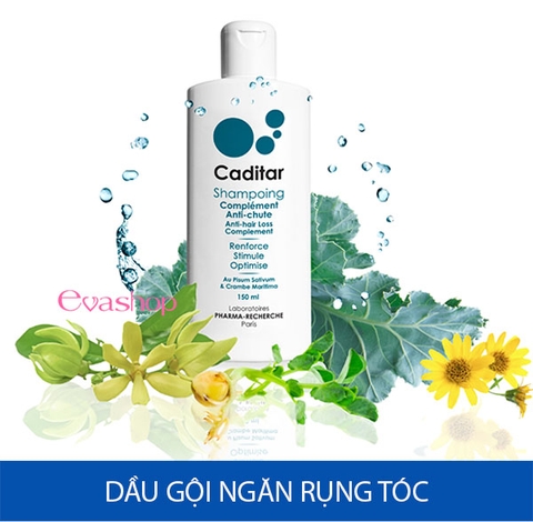 Dầu gội ngăn rụng tóc Caditar Shampoo Anti Hair Loss 150ml