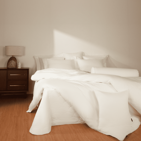 Bộ chăn ga Artemis ASCD26103