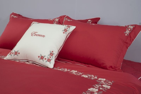Bộ ESM 22019 chụp gần