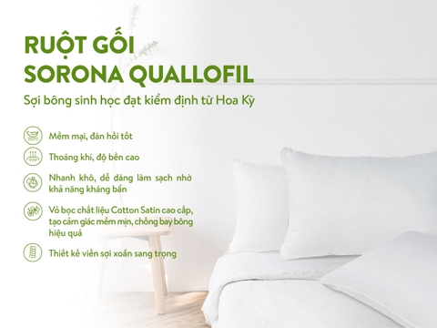 Mô tả Ruột gối Sorona Quallofil