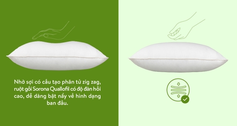 Mô tả Ruột gối Sorona Quallofil