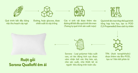 Mô tả Ruột gối Sorona Quallofil