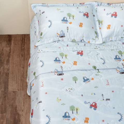 Bộ ga phủ, chăn 4 mùa CPM 27202