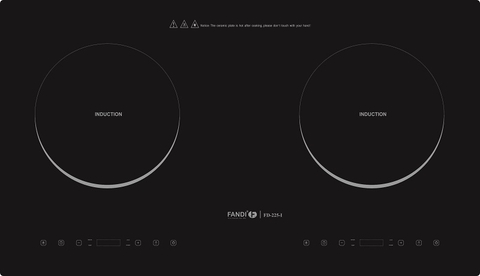 bếp 2 từ fd-225i