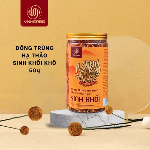 50g Đông Trùng Hạ Thảo sấy thăng hoa Vnherb Sợi ngắn – Sinh khối 50 gram
