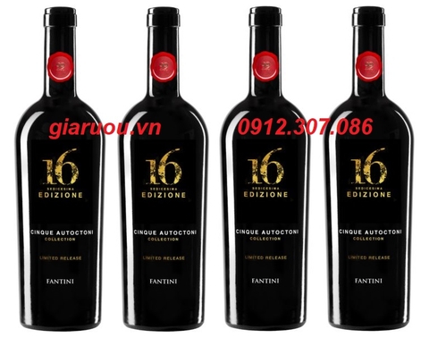 CHUYÊN PHÂN PHỐI VANG Ý 16 EDIZIONE LIMITED RELEASE GIÁ RẺ NHẤT