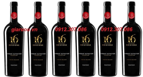 RƯỢU VANG Ý NGON RẺ ĐẸP 16 EDIZIONE