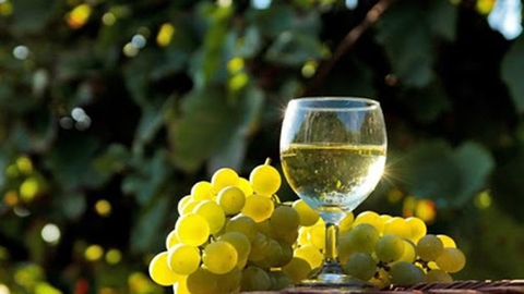 Những điều bạn chưa biết về rượu vang trắng