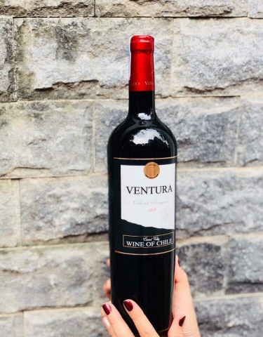 Rượu vang Cabernet Sauvignon Chile có gì nổi bật?