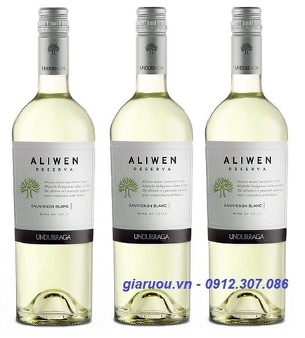 BÁN BUÔN VANG CHILE UNDURRAGA ALIWEN RESERVA SAUVIGNON BLANC