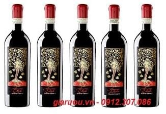 BÁN BUÔN VANG Ý AMARONE MATER CHÍNH HÃNG GIÁ TỐT NHẤT