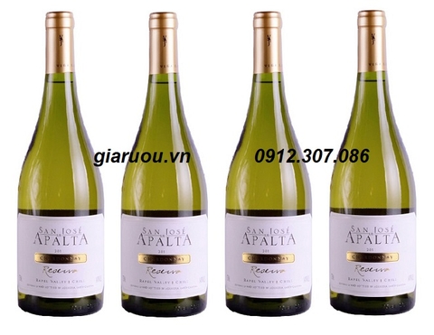 BÁN VANG CHILE SAN JOSE APALTA RESERVA CHARDONNAY CHÍNH HÃNG GIÁ RẺ