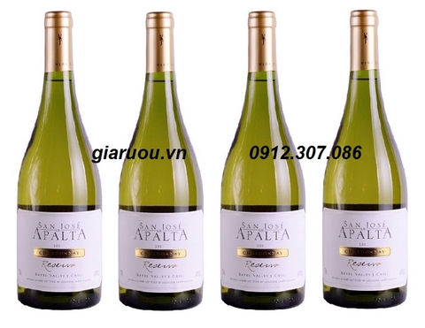 TỔNG ĐẠI LÝ VANG CHILE SAN JOSE APALTA RESERVA CHARDONNAY TẠI MIỀN BẮC