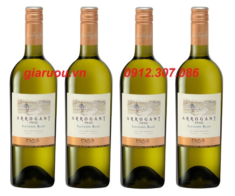 VANG PHÁP ARROGANT FROG MAS SAUVIGNON BLANC GIÁ RẺ NHẤT