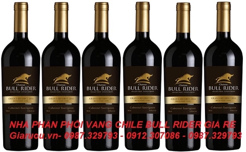 NHÀ PHÂN PHỐI VANG CHILE BULL RIDER GIÁ RẺ NHẤT
