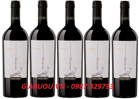 BÁN RƯỢU VANG Ý CANACE NERO DI TROIA GIÁ RẺ NHẤT