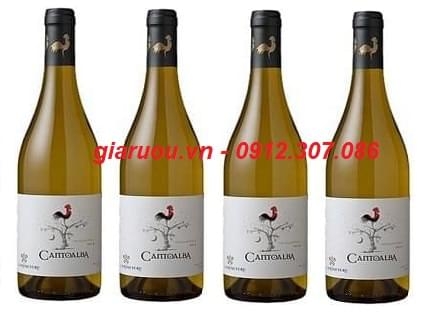 NƠI BÁN VANG CHILE CANTOLABA CHARDONNAY GIÁ TỐT NHẤT