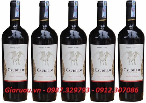 VANG CHILE CAUDILLO GRAN RESERVA CHÍNH HÃNG UỐNG NGON GIÁ CỰC TỐT