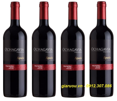 NHÀ CUNG CẤP VANG CHILE OCHAGAVIA ESPUELA RED WINE