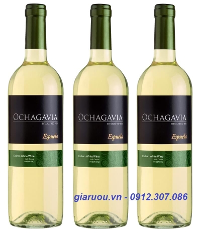 PHÂN PHỐI, BÁN BUÔN VANG CHILE OCHAGAVIA ESPUELA WHITE