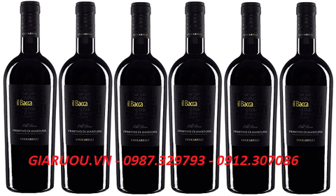 BÁN RƯỢU VANG Ý IL BACCA GIÁ CỰC TỐT