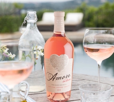 Những thông tin thú vị về rượu vang hồng Pháp