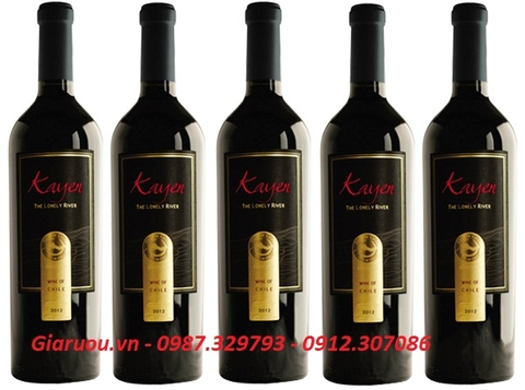 BÁN RƯỢU VANG CHILE KAYEN GIÁ RẺ NHẤT