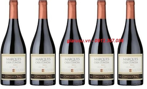 PHÂN PHỐI VANG CHILE MARQUES CASA CONCHA SYRAH GIÁ RẺ NHẤT