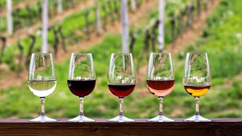 Màu rượu vang thể hiện điều gì?