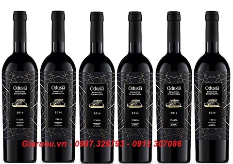 PHÂN PHỐI BÁN BUÔN VANG Ý ODUSIA GIÁ RẺ NHẤT